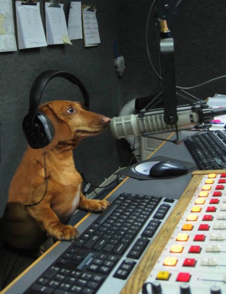 The Radio Man is Speaking